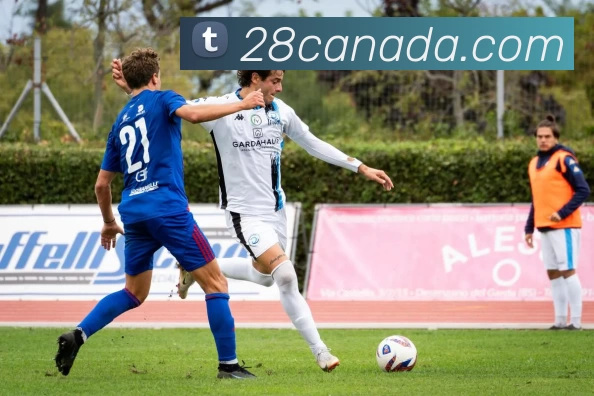 App Interface Preview