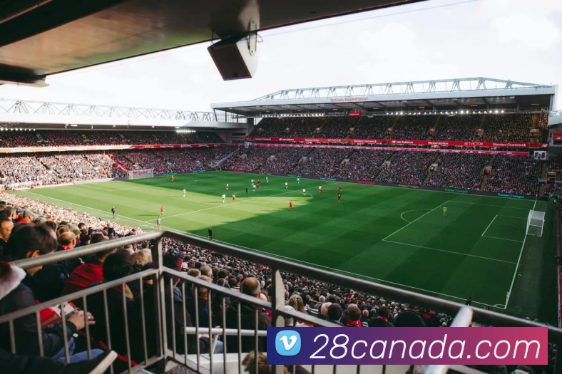 九游会官网APP 封面图